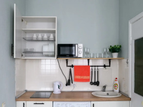 Апартаменты на Оружейном переулке 15А (962)