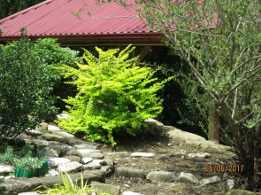 Гостевой дом Нэста РФ