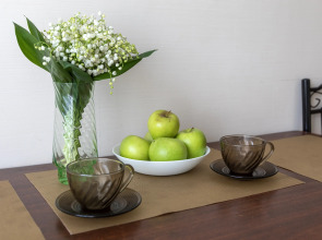 Квартира Высокий Мост