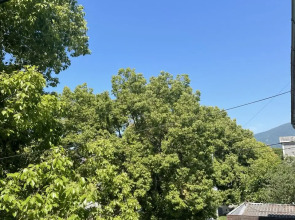 Квартира Уютная студия рядом с морем, в центре Гагры