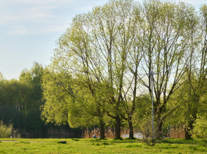 Квартира у Пулковского парка с панорамными окнами