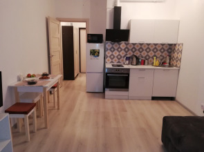 Квартира рядом с метро Комендантский проспект