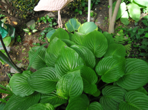 Гостевой дом Роман и Светлана