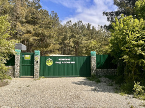 Кемпинг Под Соснами