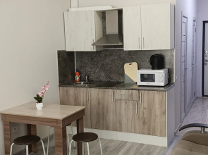 Апартаменты на Виноградной 22/1Б