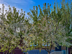 Апартаменты Двухкомнатные с двориком и парковкой