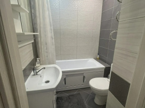 Апартаменты с видом на сосновый лес