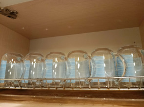 Апартаменты Желтый Сапфир