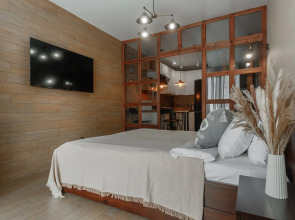 Квартира Панорамная студия