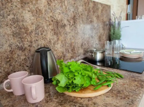 Гостевой дом Тургенева 188