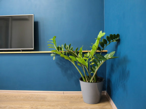 Квартира Как Дома