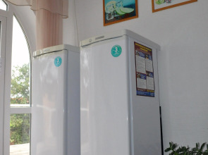 Отель Чайка