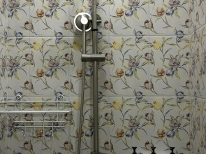 Отель Петровский II