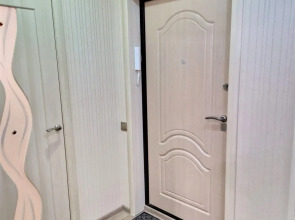 Квартира Краснозвездная 31/319