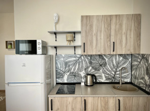 Апартаменты Сканди-Апартаменты N2