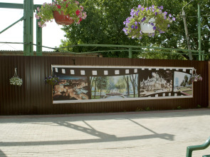 Гостевой дом Абрикос