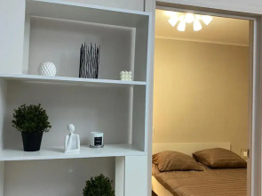 Квартира  на  Ольгинской  набережной  9