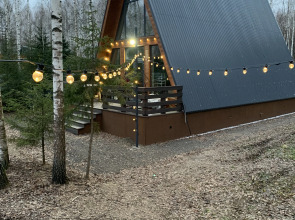 Частный дом A-фрейм в лесу Зеленого города