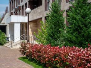 Апартаменты просторные в Дагомысе