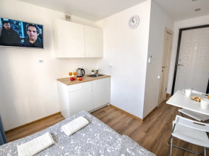 Квартира-студия 1 на Некрасовской