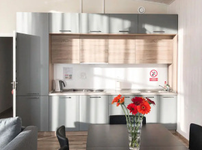 Гостевой дом Логи апарт