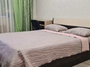 2kh Komnatnaya V Tsentre Goroda Flat