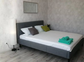 Na Tolstogo 4 Apartments