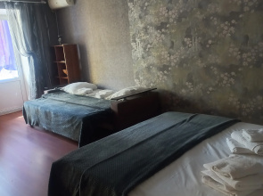 Odnokomnatnaya V Tsentre Goroda Flat