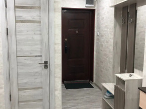 Квартира в Центре на Гудина