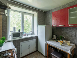 Квартира SmolSutki Ново-Чернушенский переулок 1/2 (2комн)