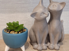 Квартира Cтудия с удобным расположением