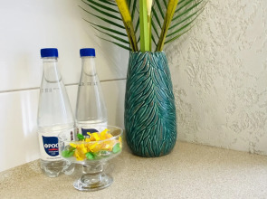 Апартаменты на Озерова 45