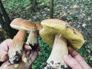 Частный дом Лисья Горка 30