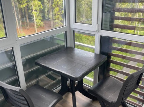 Апартаменты на Софьи Ковалевской 14a