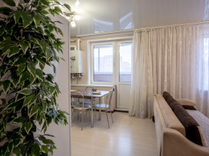 Апартаменты большие трехкомнатные на главном проспекте Тулы