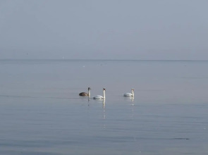 Квартира Лофт у Моря в Пионерском