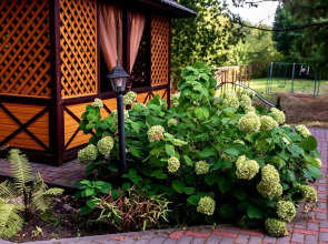 Отель Разгуляй