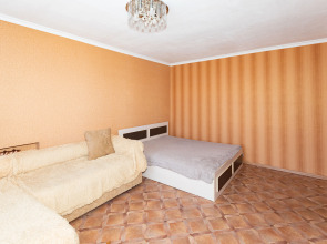 Квартира Мухина 29