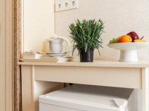 Апартаменты Один Вознесенский