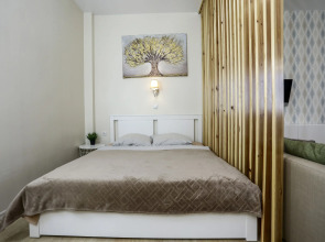 Апартаменты Vlad apartments