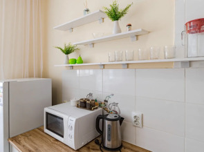 Апартаменты идеальные для большой компании в центре