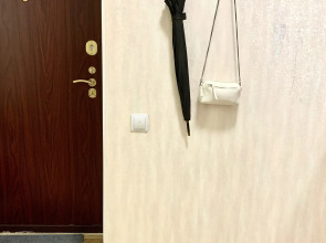 Квартира Просторная однокомнатная квартира для Вашего отдыха