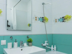 Апартаменты Апарт Трофи мансарда у парка