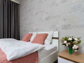 Квартира Красный Проспект 222 Северная