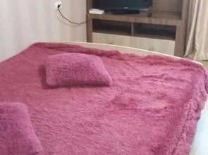 Okolo Aeroporta Apartments