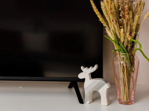 Апартаменты Pronina Aparts Relax Zone