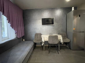 Uyutnaya Yevrotreshka V Tsentre Vidnoye Flat