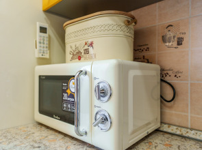 Квартира однокомнатная Россия Краснодар 1 Мая 298