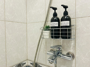 Апартаменты Cozy Rent Lemon tree