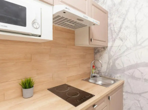 Апартаменты Park In Pulkovo